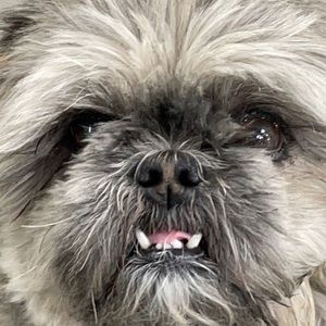 Meet your Posher, Therese